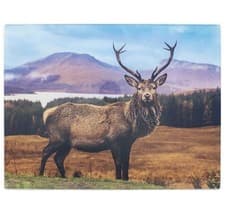 Image of Glass Worktop Protector Stag Chopping Board Surface Scottish Wildlife British