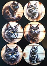 Image of Cat Picture Coasters - Fluffy Black Cats - Set of 6 - 10cms across - Wooden