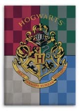 Image of Harry Potter Polyester Fleece Blanket 100cm (39") X 150cm (59")