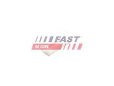 Image of FAST FT96603 Clip, trim/protection strip for CITROËN,FIAT,PEUGEOT