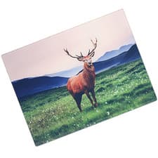 Image of Glass Worktop Saver Kitchen Chopping Cutting Utensil Board STAG 40 x 30 cm