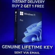 Image of Windows 11 Professional Lifetime