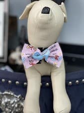 Image of Handmade Dog Collar Now With Attachments Cinderella  Theme 