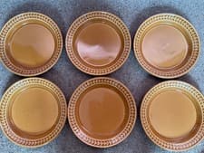 Image of PORTMEIRION BOTANIC GARDEN HARMONY PLATES SET X 6 LUNCHEON SALAD GOLDEN AMBER
