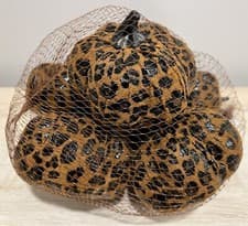 Image of Robert Stanley 6pc Mini Foam Pumpkins Cheetah Harvest Fall Decor 2.5” & 3.5” NWT