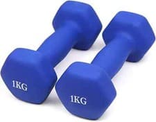 Image of Neoprene Dumbbells 1KG x 2 Weights Iron Hand Aerobic Workout Fitness Gym Blue