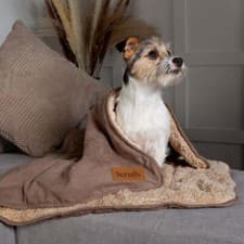 Image of Scruffs Pet Snuggle Blanket Dog Reversable choice of colours