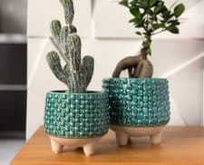 Image of GREEN FLOWERPOT ON LEGS Home Decor Modern Plant Holder Pots Indoor