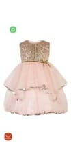 Image of Baby Girls Monsoon Party Dress