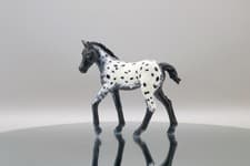 Image of Schleich Repaint ‘June’ Model Horse Foal Custom ~ Black Peacock Appaloosa Foal