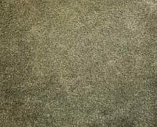 Image of Turtle Mat - Dirt Trapper - Sage Green - Latex - 50x75cm