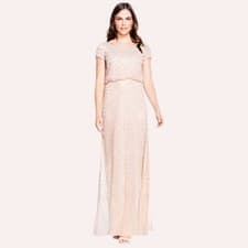 Image of NWT Adrianna Papell Blush Short Sleeve Blouson Beaded Gown - 10