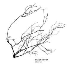 Image of Black Motor Branches (CD) Album