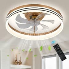Image of FRIXCHUR 20" Ceiling Fan with Light, Remote, Dimmable, Bladeless, Gold