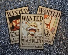 Image of One Piece Wanted Posters, Various Styles, Various Sizes, on a Fabric Vinyl