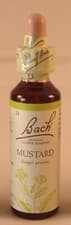 Image of Bach Flower Remedies, Mustard 20ml. BBE 05/2027