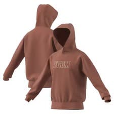 Image of FC Bayern adidas SZN Travel Hoodie - Earth