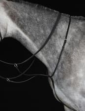 Image of Collegiate Running Martingale IV, Black, Brown, 4 Sizes.