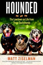 Image of Hounded: The Low-Down on Life from Three Dachshunds - Paperback NEW Matt Ziselma