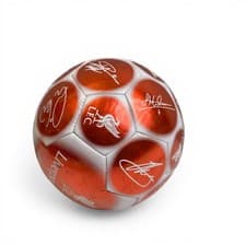 Image of Liverpool FC Football Size 5 Signature LFC Fan Training Club Official Licensed