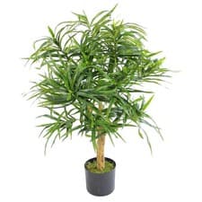 Image of 100cm Artificial Dracaena Plant Tree with Pot Premium Range
