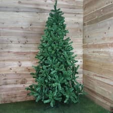 Image of 4ft, 5ft, 6ft, 7ft, or 8ft Colorado Spruce Christmas Tree in Green
