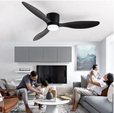 Image of Black 42” silent Ceiling Fan LED Light Remote control Modern ceiling Light Fan