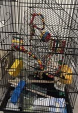 Image of Large Bird Cage Budgie Canary Parrot Finch Lovebird House w/ Feeder Perch Swing