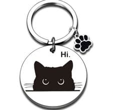Image of Cute Silver Black Cat Keyring Keyfob Key Chain Gift