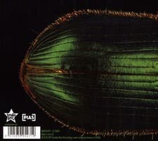 Image of MARY EPWORTH - ELYTRAL [DIGIPAK] * NEW CD