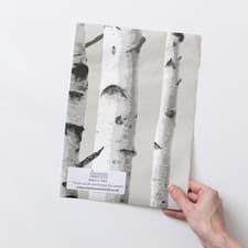 Image of nu wallpaper BIRCH TREE easy peel & stick removable wallpaper