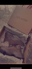 Image of steve madden trainers size 3