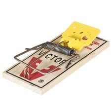 Image of 2pk Deadfast Easy Set Mouse Trap With Pre-Baited Durable Wooden Wire Snap Trap