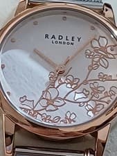 Image of RADLEY Ladies Silver Mesh Strap Watch RY4399