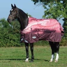 Image of Weatherbeeta Comfitec Plus Dynamic ll Standard Neck Medium (220g) Rug, 4'6"