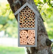 Image of Wooden Bug Insect House Natural Wood Bee Hotel Garden Nesting Shelter Grey 26cm