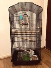 Image of Large Metal Bird Cage Canary, Cockatiel, Lovebird with Accessories and Feed