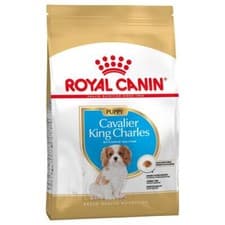 Image of Royal Canin Cavalier King Charles Immune Support Puppy Dry Dog Food *1.5kg* PACK
