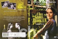 Image of A TREE GROWS IN BROOKLYN 1945 - DVD - REGION 2 - DOROTHY McGUIRE - UK SELLER