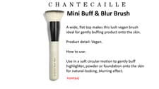Image of Chantecaille Buff And Blur Brush Travel Size New in Sleeve new