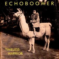 Image of Echo Boomer - Timeless Warrior (Vinyl LP - 2023 - EU - Original)