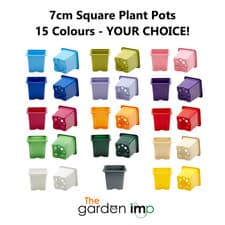 Image of 7cm Square Plastic Plant Pots Coloured Bright Small Seed Plug Flower Pot BESPOKE