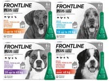 Image of FRONTLINE SPOT ON & PLUS CAT & DOG Flea Lice Tick Treatment Solution Kills Fleas