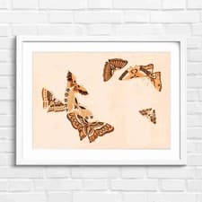 Image of Blue Butterfly Pattern Art Decor Orange Framed Wall Art Print Large Picture Home