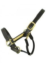 Image of Horseware Amigo Padded Leather Headcollar Brown