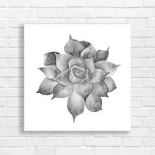 Image of Handpainted Watercolor Sukkulent Drawing Canvas Print Large Picture Wall Art