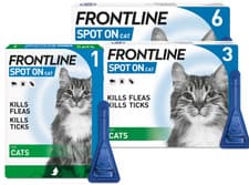 Image of FRONTLINE SPOT ON Flea & Tick Treatment Cat 1, 3 and 6 Pipette Packs