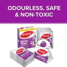Image of Acana Moth Trap Kills Clothes Moths Natural Pheromone Glue Boards PACK 1,2 or 10