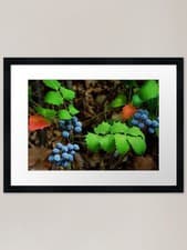 Image of Primary Colors Framed Art Print Framed Wall Art Poster Canvas Print Picture