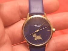 Image of Ladies Radley Quartz Watch RY21770A